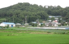 4월 셋째주 눈여겨 볼만한 경매물건