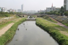 안산천 생태하천 조성됐는데...주민 편의시설 설치는 난항
