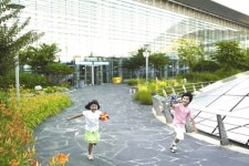 꽃내음 가득 인천공항 야생초화원, 우리 꽃 새 단장