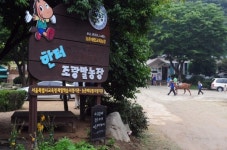 年 5만명 찾는 용인 한터조랑말농원 90% 불법