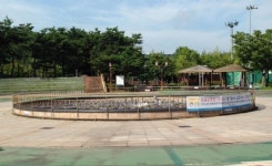 과천시설관리공단, 문원체육공원 음악분수대 딜레마