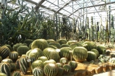 경기도농기원, 선인장 연구온실 기공...660㎡ 조성