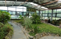 보기힘든 나비? 광명 나비야놀자박물관엔 지천이 나비!