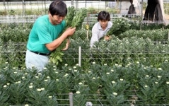 농진청, 10개 핵심기술로 6조7천억대 농가 고소득 기여
