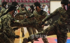 종합무술·K3국무도 고수들 용인 집결...예술을 뽐내다