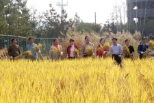 광명시 올해도 풍년이로구나~