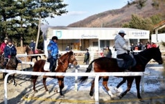경기도승마협회 맞춤형 승마강습회, 참가자들 호평