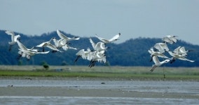 천혜의 자연 안산 대부도, 생태 관광메카 발돋움