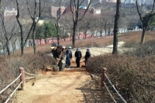 오월에 철쭉 흐드러지다...군포시, 철쭉대축제 준비 만전