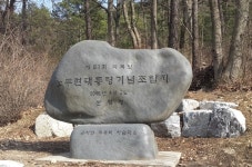말끔한 이명박-잡목 우거진 노무현…여주시·산림청, 대통령 식수관리 극과극