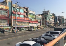 [현장르포] 시화호 토막살인 된서리 맞은 오이도 상인들