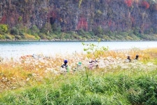 분단의 상처 보듬고 피어난 환한 웃음꽃 DMZ 평화누리길