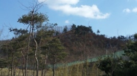 5월 세번째주 눈에 띄는 경매 물건