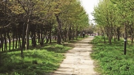 안산시 상록구 걷기 좋은 길 상록트레킹