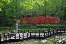 休~ 오늘 만큼은 숲속에서 취하고 싶다 피톤치드 3대 여행지