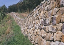 권문세가 작폐 개혁안 제시, 백성의 편에 선 남양 홍씨