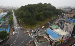 48년 지켜온 도심 허파 수원 영화공원, 7억 없어서 사라질 판