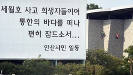 안산시, 세월호 분향소 바로 옆 암벽등반장 운영 재개 눈총