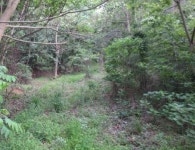 [눈에 띄는 경매물건] 1월 셋째주