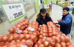 채소값 폭등...학교급식 납품업체 매출 감소 직격탄