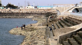 방파제서 술마시고 낚시하고...송도신항 바다쉼터 안전난간 무용지물