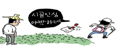 무단채집에 주인행세까지...행락철 등산객 농산물 서리 극성