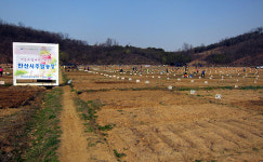안산시, 전국 최대 규모 주말농장 2천894구좌 개장