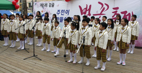 안산시 사2동, 감골 벚꽃축제 개최