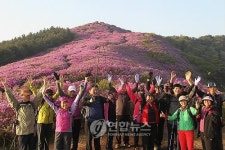 [주말 호남권 가볼만한 곳] 남원 봉화산·지리산 바래봉 철쭉 활짝