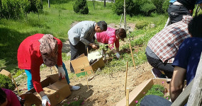 안산시 일동 야생화 꽃동산 조성