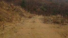 [눈에 띄는 경매물건] 5월 다섯째주