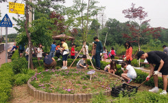안산시 부곡동-정재초교, 쌈지공원서 야생화 심기 실시