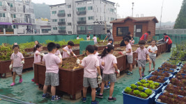 김포 사우동 주민자치위, 텃밭 수확감자 관내 소외계층 전달