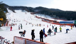 스키장 개장 초읽기, 왔다! 雪레는 계절