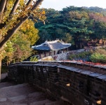 세계문화유산 남한산성, 가을에 포위되다