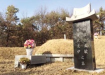 무덤도 불법인 최씨일가… 용인, 행정처분키로