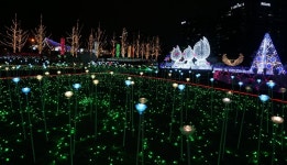 ‘2016고양호수꽃빛축제’, 16일 일산 호수공원서 개막