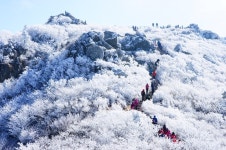 은빛 세상으로 가는 길, 덕유산으로 여행가요~