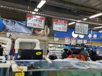 (주)에치와이 하나로마트 고양점 | 고양 농협하나로클럽 수산물 코너, '수입산' 점령