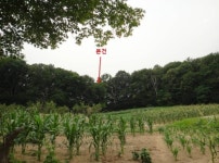 [눈에 띄는 경매물건] 12월 셋째주