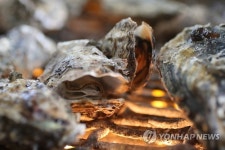 [주말 충청권 가볼만한 곳] 성탄 주말 보령 천북 굴 축제 개장…청주서는 크리스마스 기념 공연