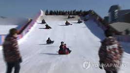 [주말 수도권 가볼만한 곳] 아침고요수목원 별빛축제…인천대공원·문학경기장 눈썰매장 행사 풍성