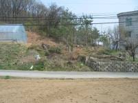 [눈에 띄는 경매물건] 12월 넷째주