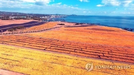 [주말 제주권 가볼만한 곳] 1월엔 더 반짝이는 제주 제주관광 추천 10선 발표