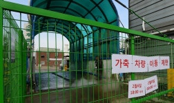 엎친 AI에 덮친 구제역… 방역 초비상