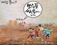 [최경락 만평] 이삭 줍기?