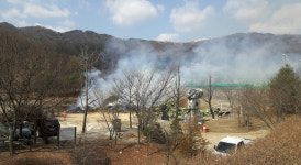 이천시, 재선충 벌목 폐목 설봉공원 체육시설서 소각 원성
