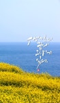 [박민용의 캘리산책] 봄날