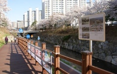 용인시, 정평천에 스피커 설치… 음악과 함께 추억산책