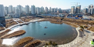 김포 구래동, 가마지천변에 명품 꽃길 조성한다